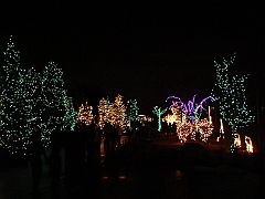 006 Toledo Zoo Light Show [2008 Dec 27]